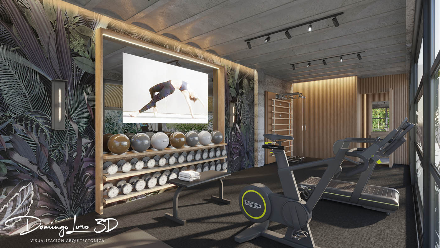 Vista de un gimnasio